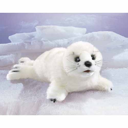 HARP SEAL PUP