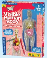 VISIBLE HUMAN BODY