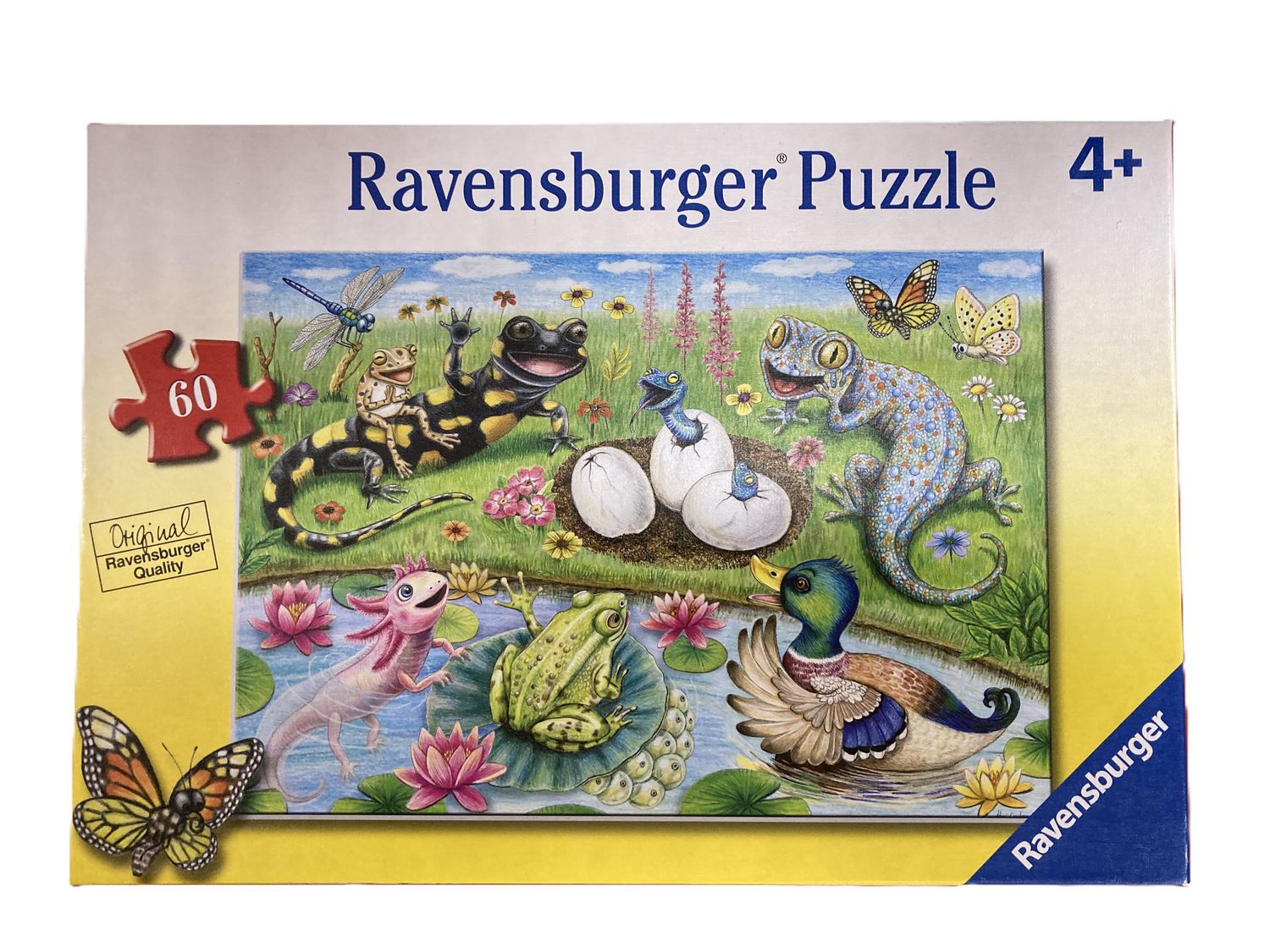 HELLO HATCHLING 60 PC