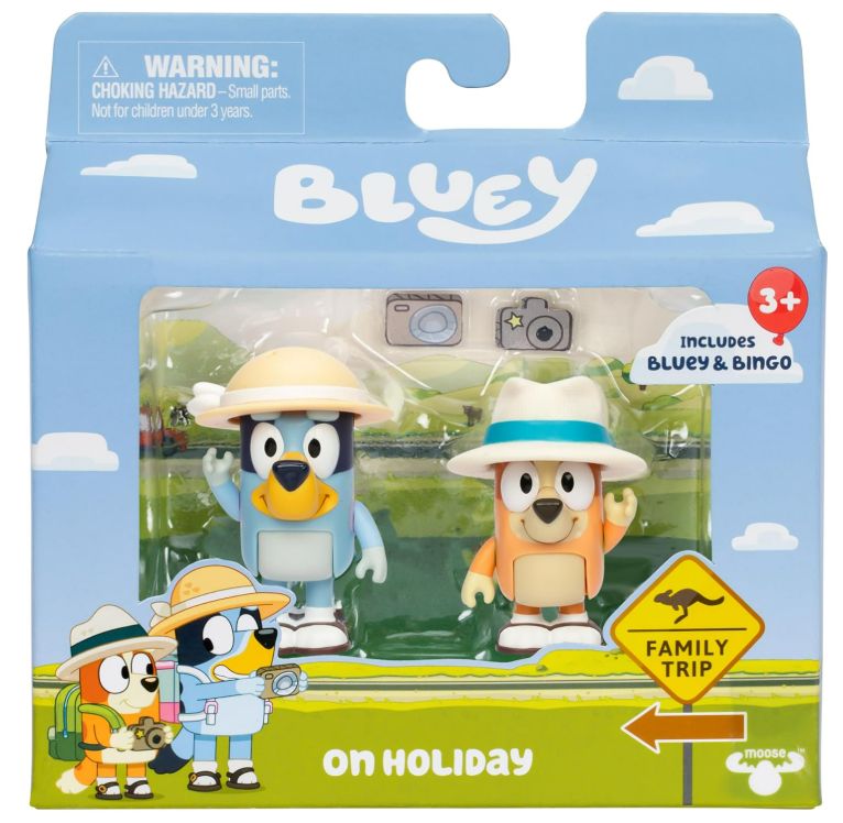 BLUEY ON HOLIDAY