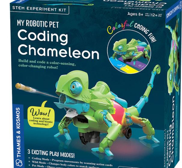 CODING CHAMELEON