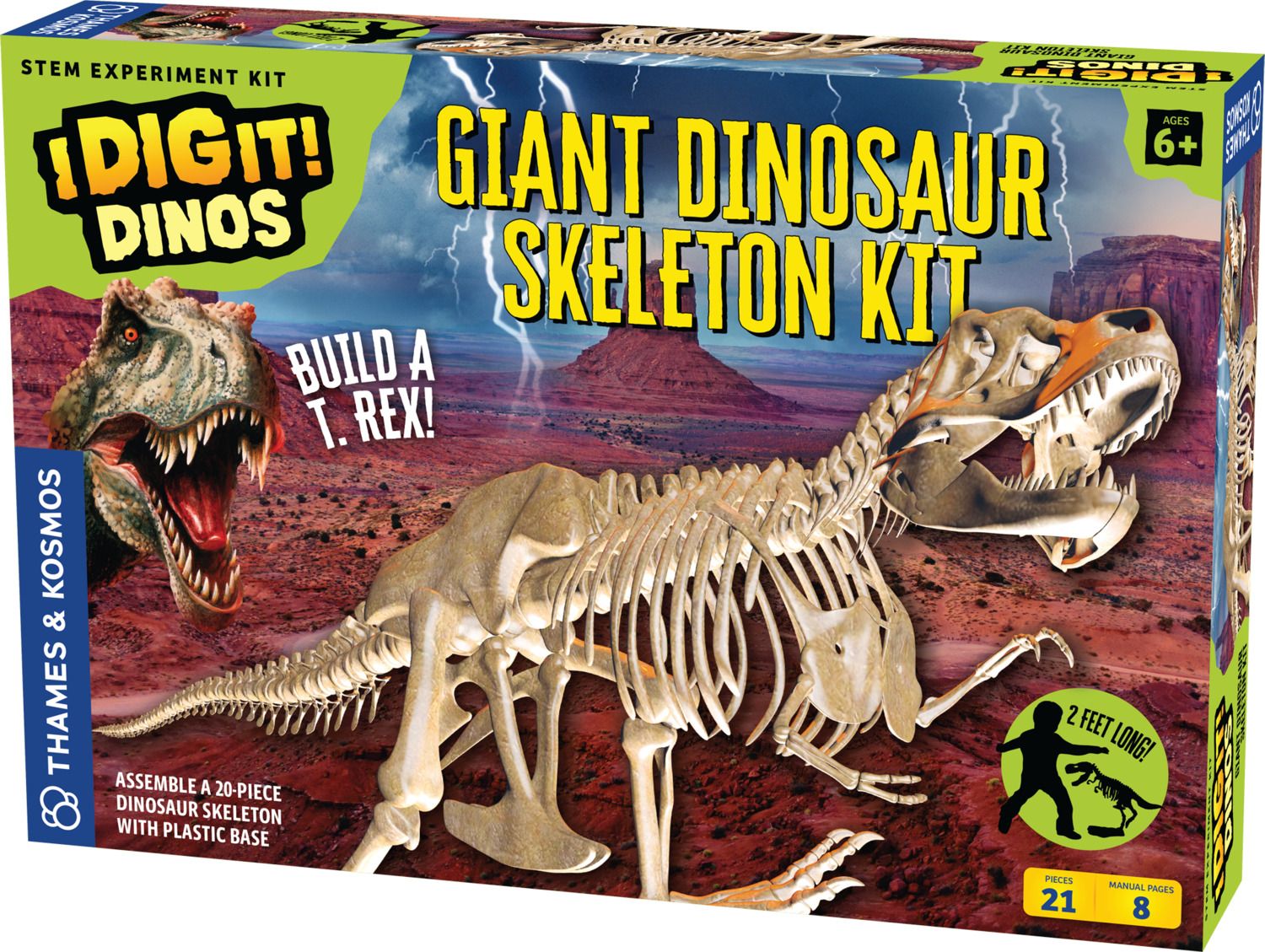 GIANT DINOSAUR SKELETON KIT