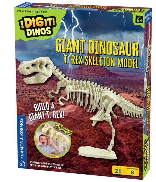 GIANT DINOSAUR SKELETON KIT
