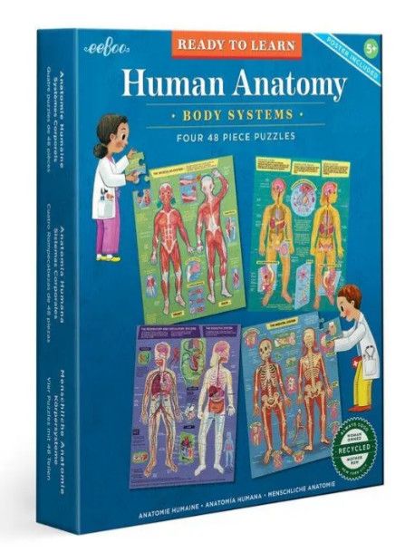 HUMAN ANATOMY 48 PC