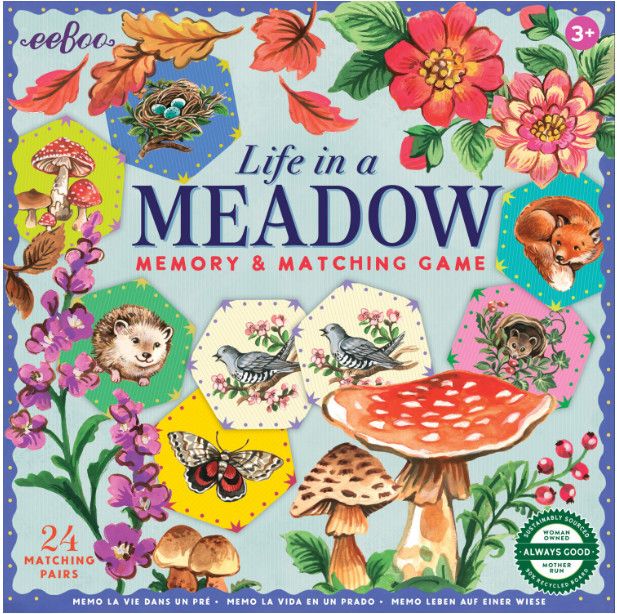 LIFE IN A MEADOW MEMORY &amp; MATCHING
