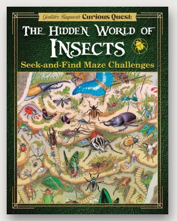 CURIOUS QUEST THE HIDDEN WORLD OF INSECTS SEEK N FIND