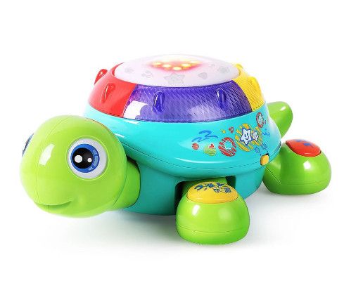 MUSICAL TURTLE