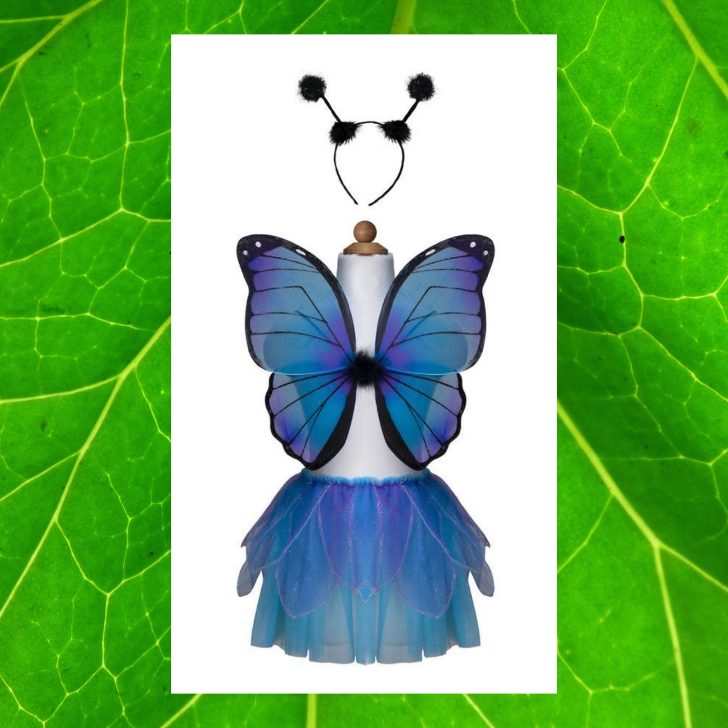 MIDNIGHT BUTTERFLY BLUE 4-6