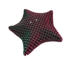 FLOPPY STARFISH```@@