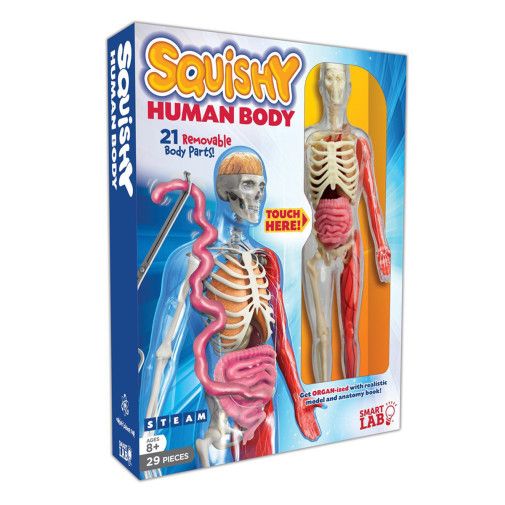 HUMAN BODY SQUISHY