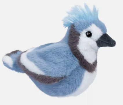 DENIM BLUE JAY