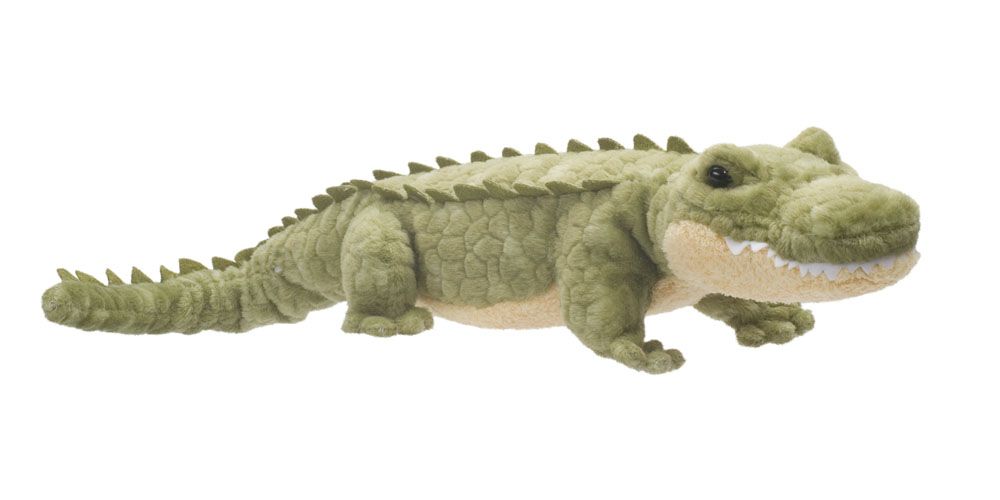 STREAM LINE ALLIGATOR