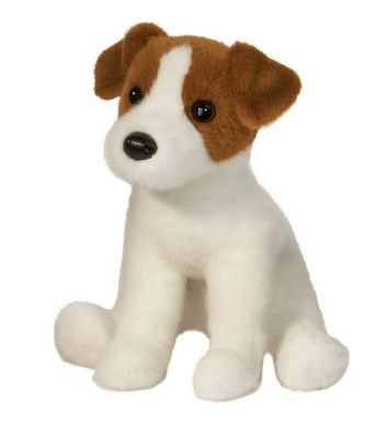 FIONA JACK RUSSELL TERRIER