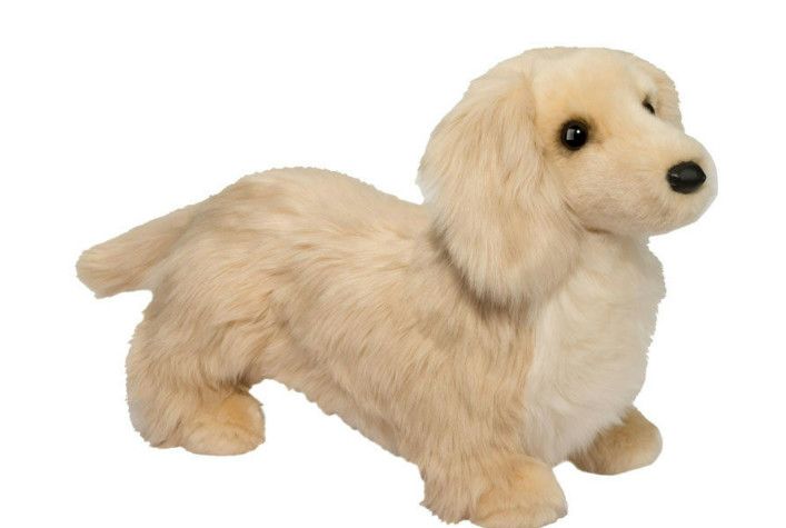 HAISLEY GOLDEN DACHSHUND