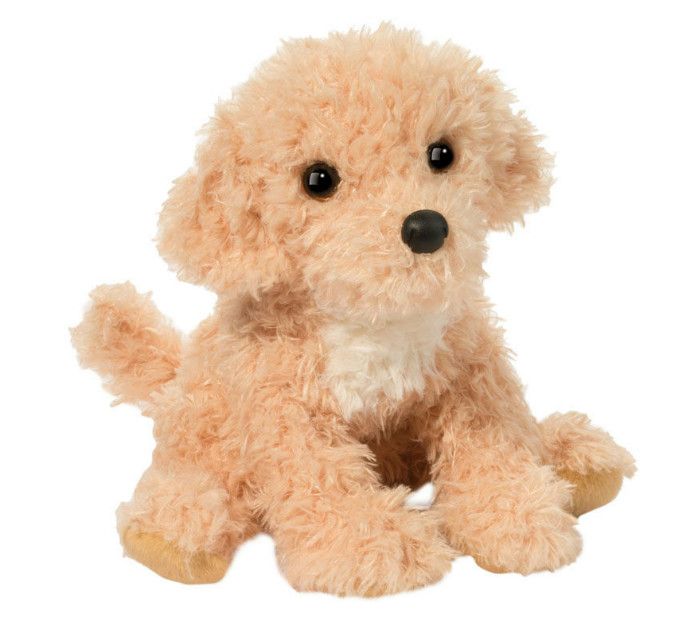 NOODLE GOLDENDOODLE