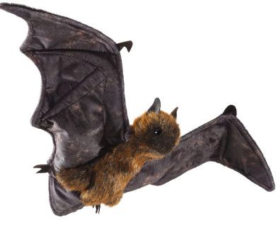 FRUIT BAT