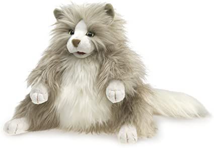 FLUFFY CAT