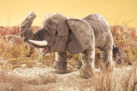ELEPHANT