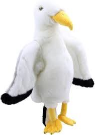 SEA GULL