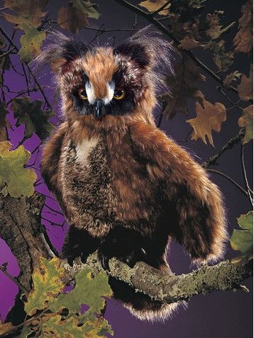 GREAT HORNED OWL