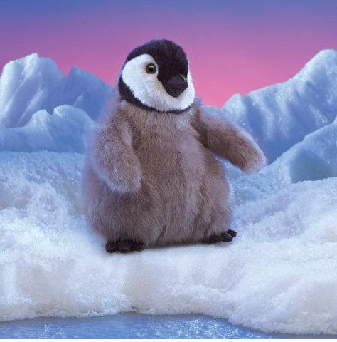 BABY EMPEROR PENGUIN