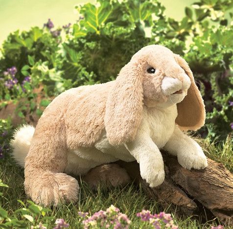 FLOPPY RABBIT