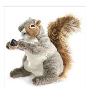 SQUIRREL, GRAY GREY