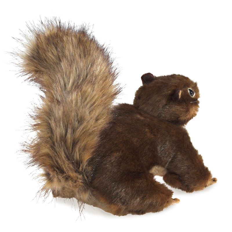 RED SQUIRREL
