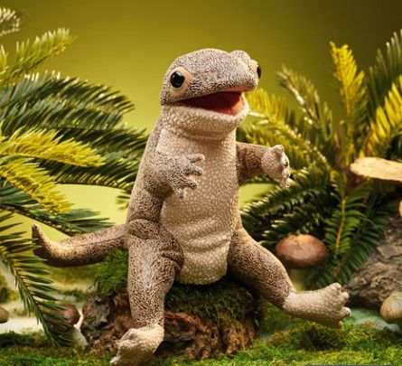 LIZARD