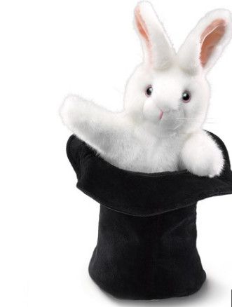 RABBIT IN HAT