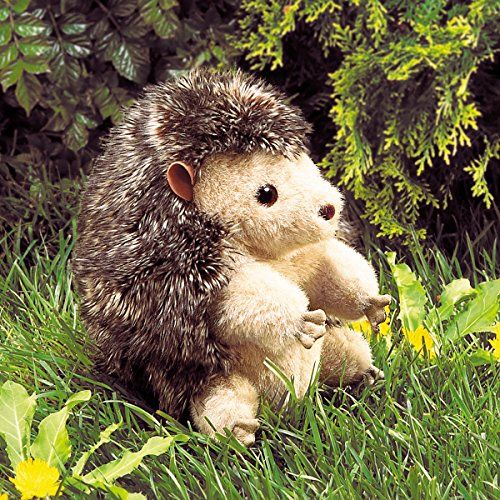 HEDGEHOG