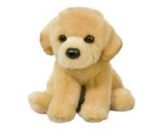 ACE YELLOW LAB