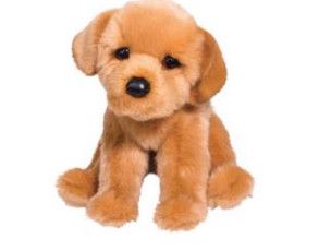 AUGUST GOLDEN RETRIEVER