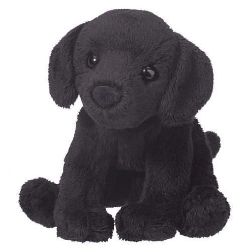 LUCY BLACK LAB
