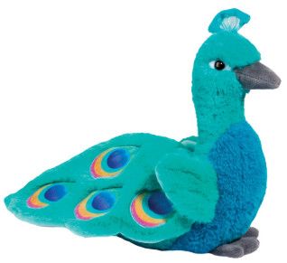 PATTIE PEACOCK SOFT