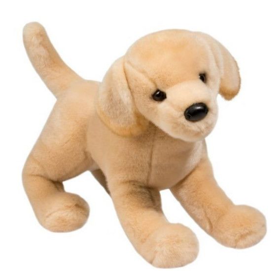 MANDY YELLOW LAB
