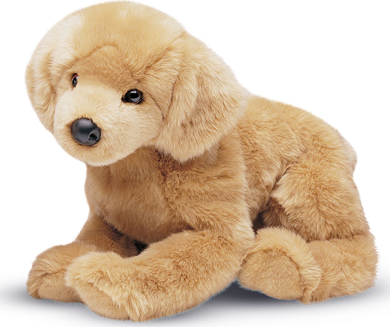 HONEY FLOPPY GOLDEN RETRIEVER