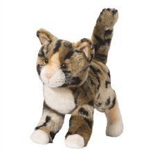 TASHETTE BENGAL CAT