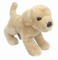 SPANKIE YELLOW LAB