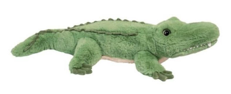SNAPPY ALLIGATOR