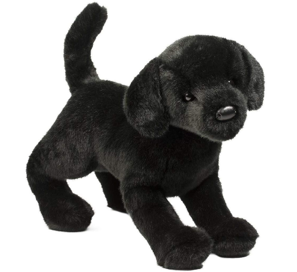 CHESTER BLACK LAB