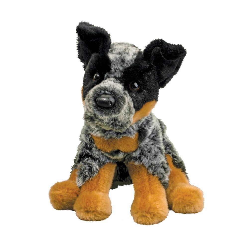 DEXTER FLOPPY AUSTRALIAN CATTLE DOG
