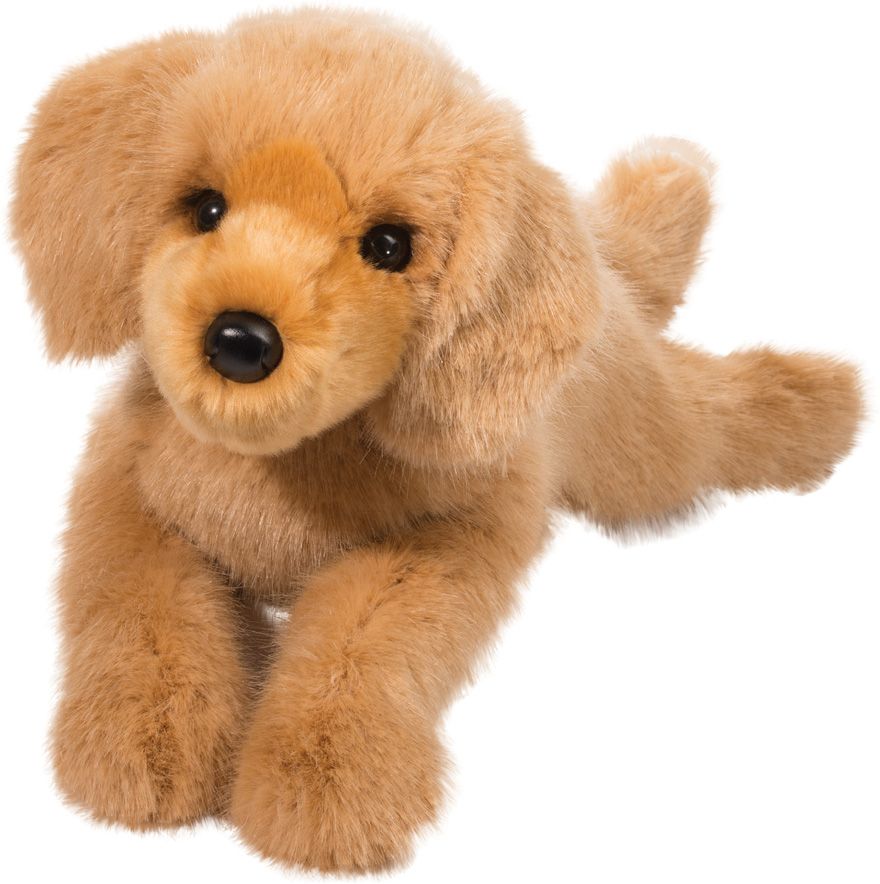 OAKLEY DLUX GOLDEN RETREIVER DLUX