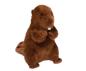 BEV BEAVER