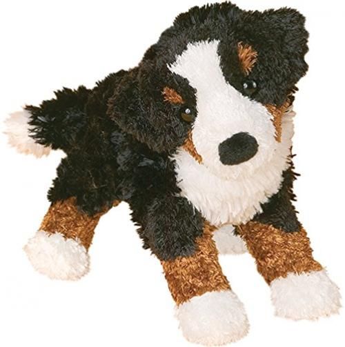 MIRANDA BERNESE MOUNTAIN DOG
