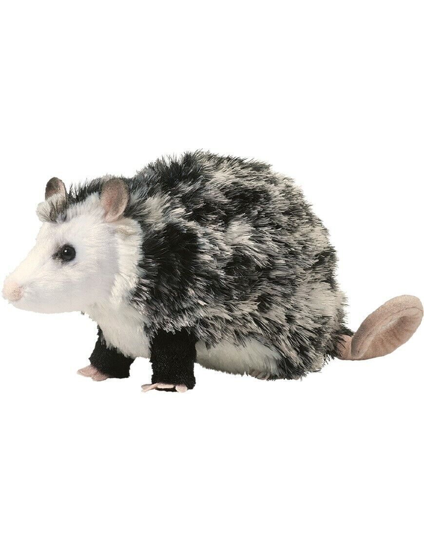 OLIVER POSSUM
