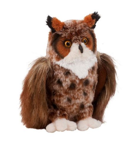 EINSTEIN GREAT HORNED OWL