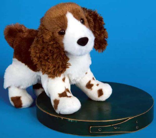 FLAIR SPRINGER SPANIEL