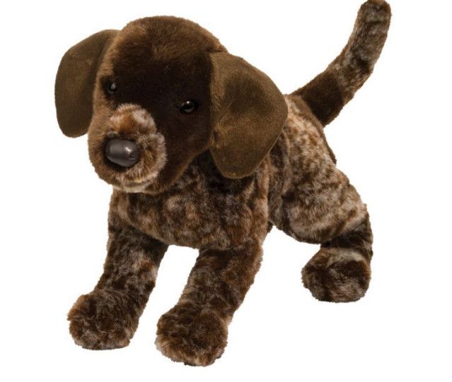 WOLFGANG POINTER