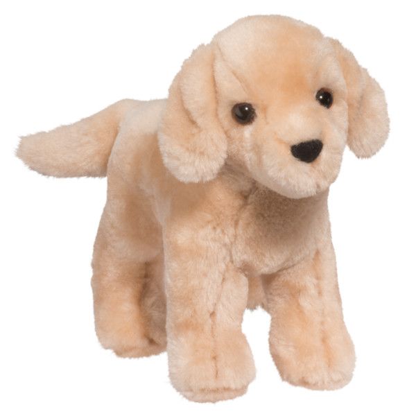 CORNELL YELLOW LAB